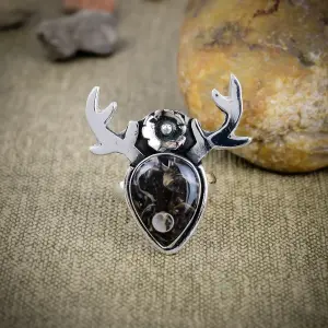 Natural Turtilla Fossil Statement Ring in 925 Sterling Silver